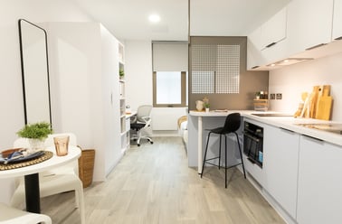 Premium Studio, Promenade Student Living, 5-8 London Road, The Level, Brighton - Image 3